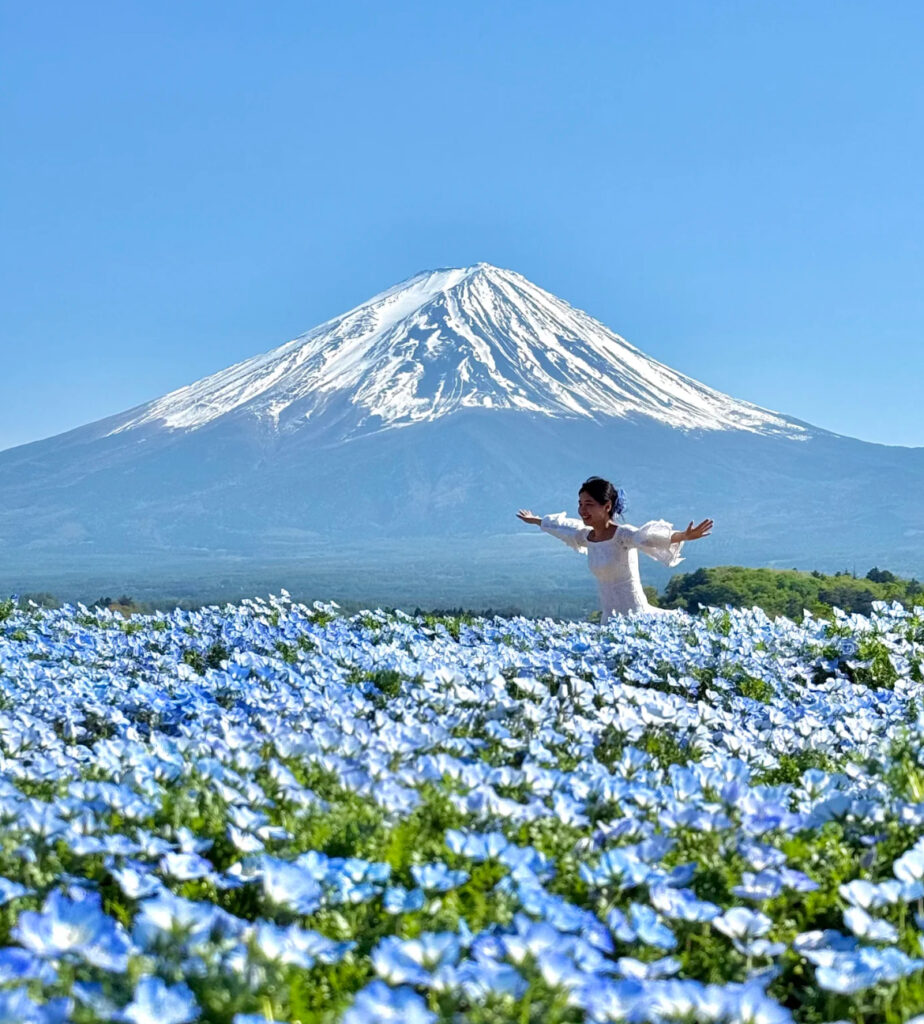 The current image has no alternative text. The file name is: Image_20250529145827.jpg