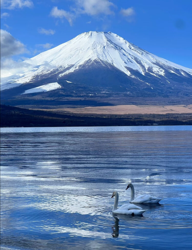 The current image has no alternative text. The file name is: Image_20250529145910.jpg