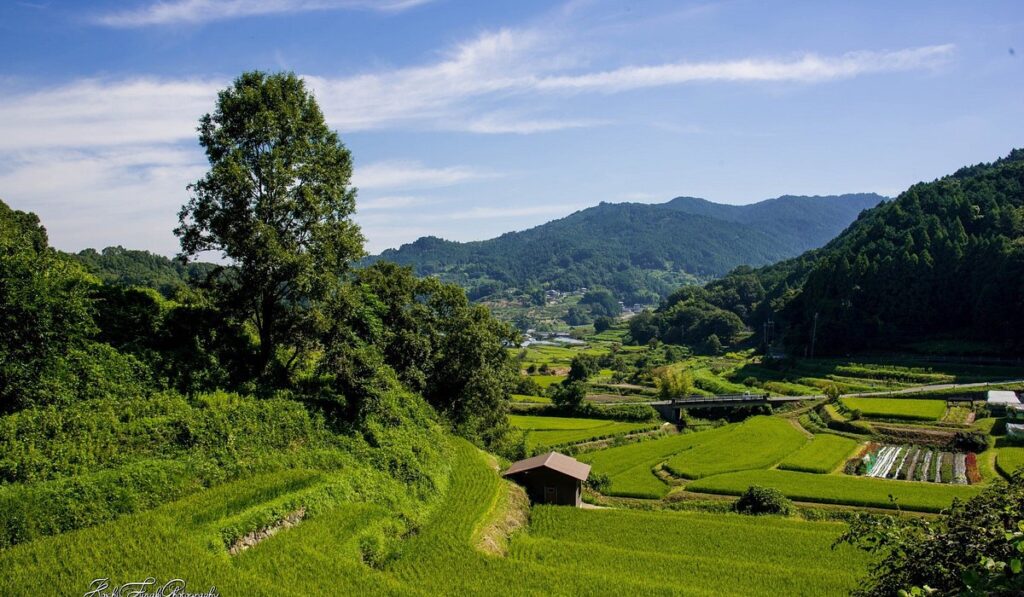 The current image has no alternative text. The file name is: 奈良·飞鸟村.jpg